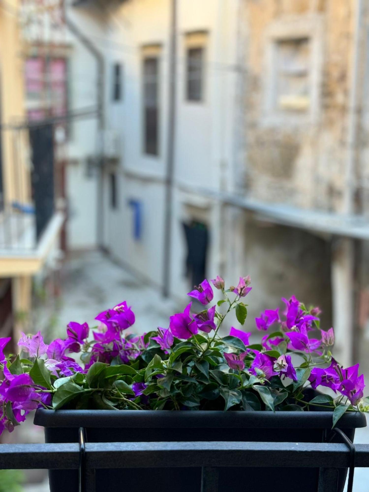Bonito Apartment2